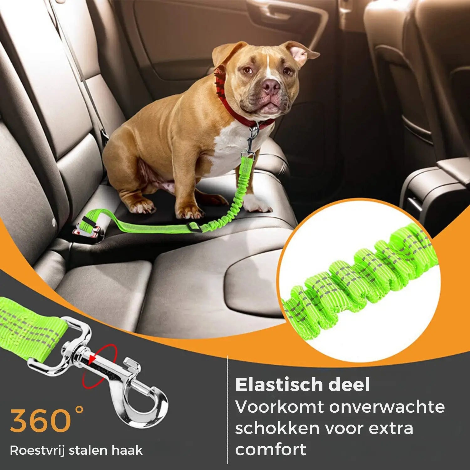 Autogordel Hondenriem/Kattenriem met Elastiek | Reflecterende Veiligheidsriem